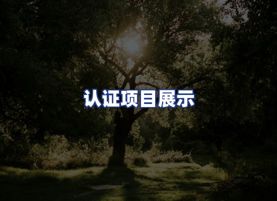 认证项目展示